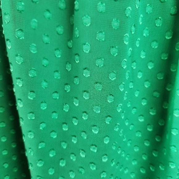 Cato swiss dot Blouse, sz 22/24 kelly green peasant fairy lagenlook oversized - Picture 5 of 10